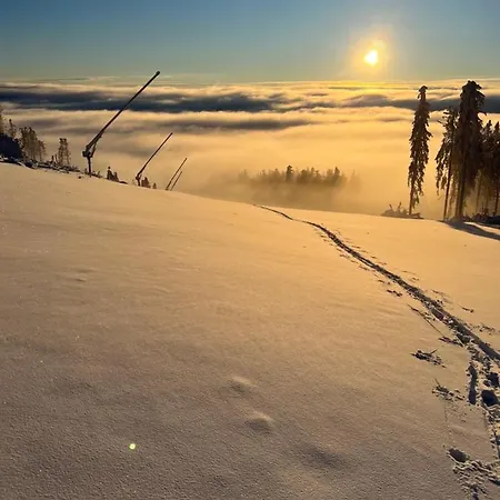 Strandberg's Ursprung: & Kitchen