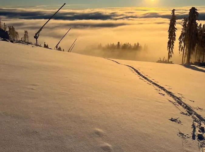 Strandberg's Ursprung: & Kitchen